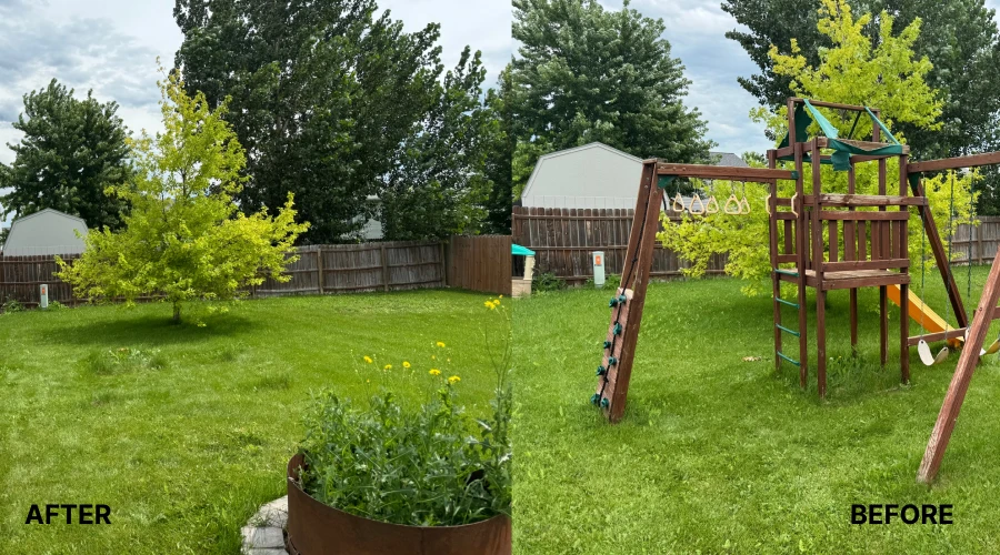 yard waste removal service before after